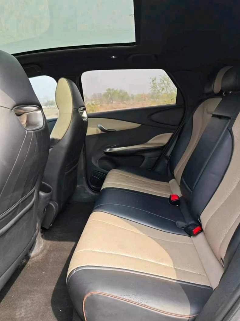 比亚迪海豚 后面外观三