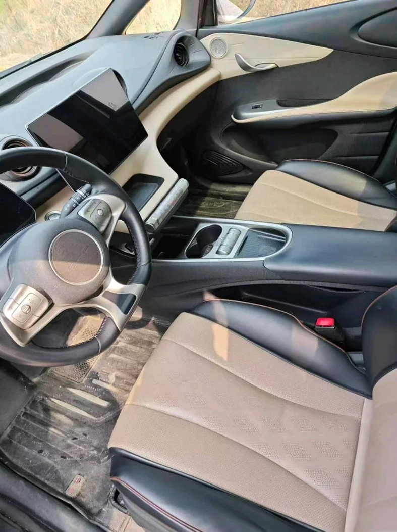 比亚迪海豚 内饰后排