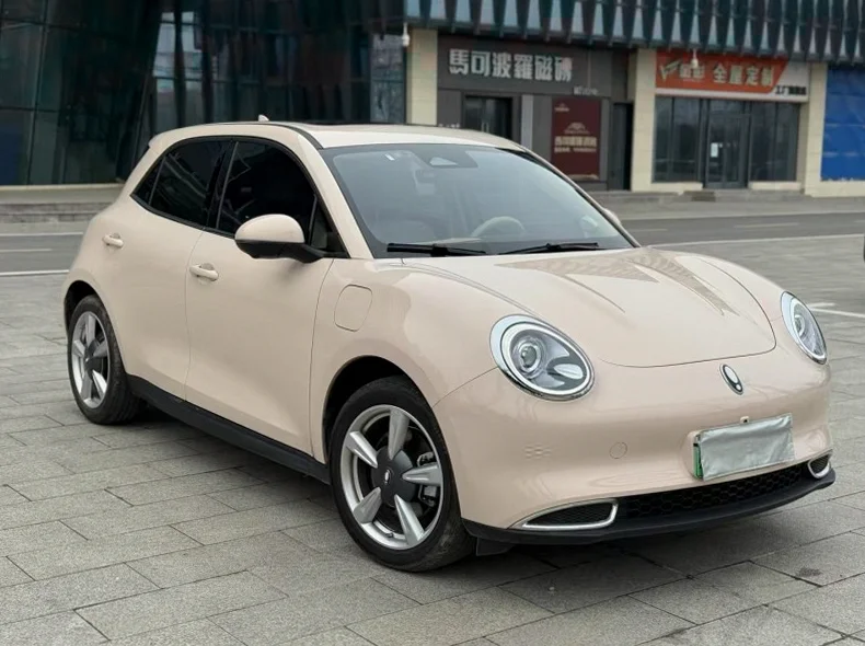 长城汽车欧拉 后面外观一