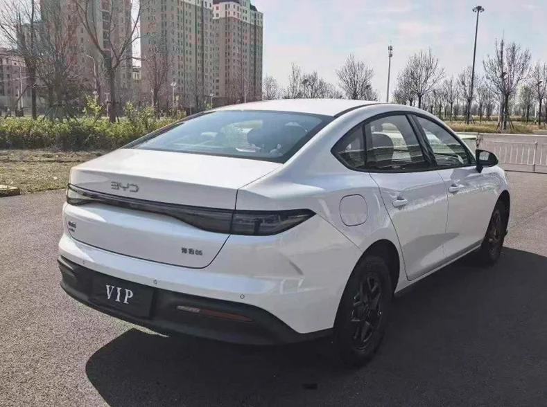 比亚迪海豹 内饰后排