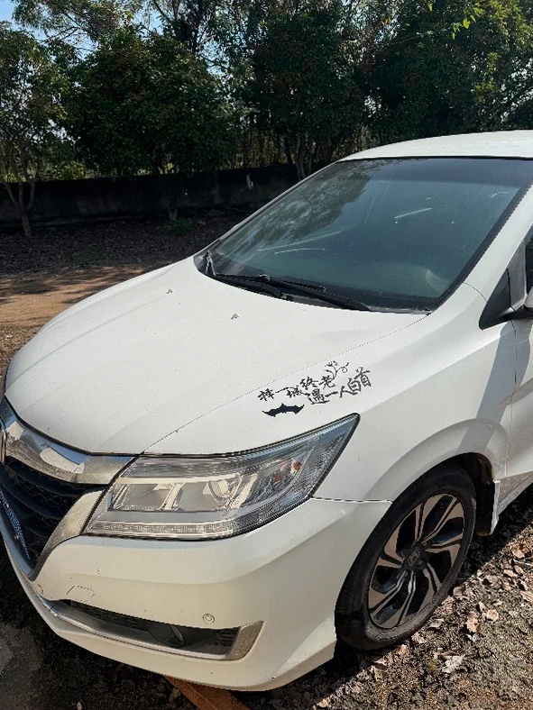 本田凌派 后面外观一