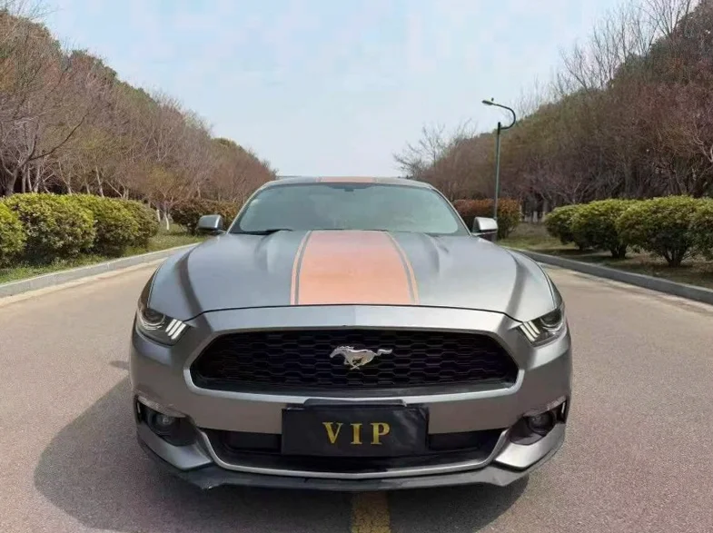 盐城2017年福特野马大本车 正面外观一