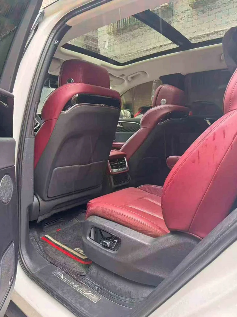 红旗E-HS9 后面外观二