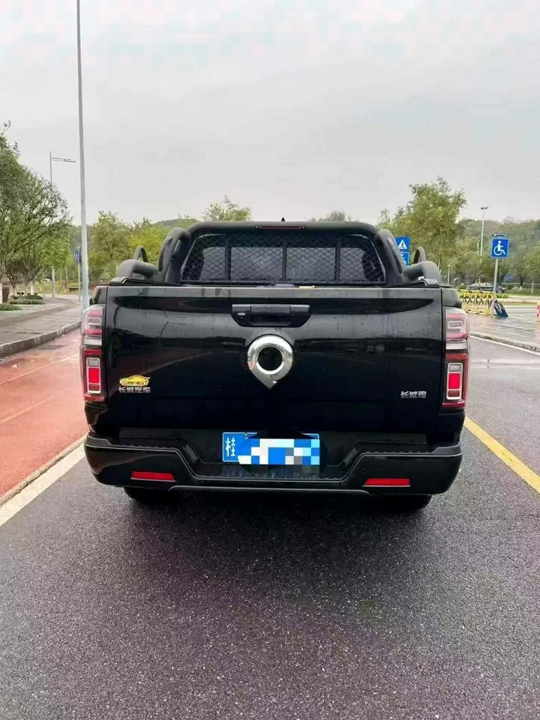 长城汽车炮 内饰后排