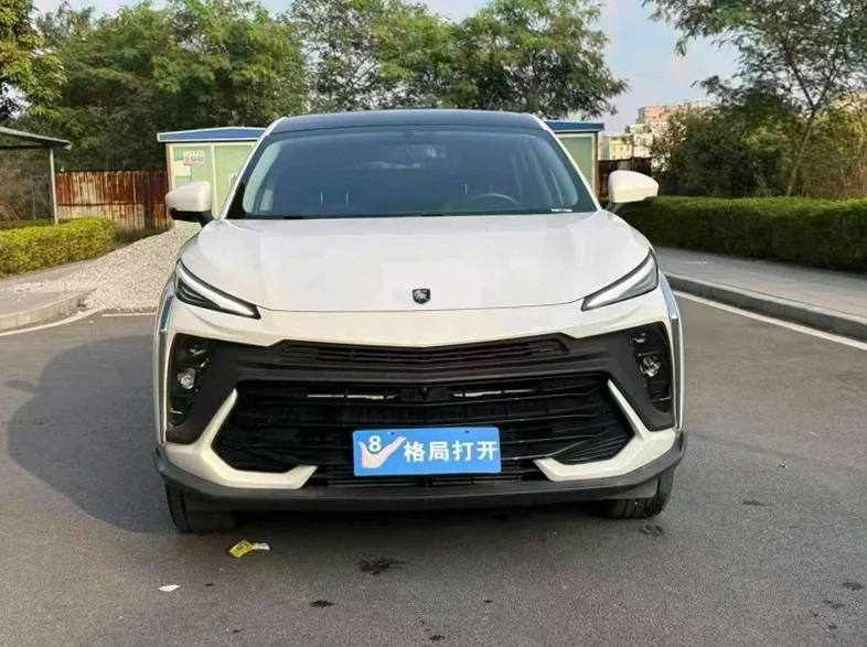 东莞2025年风行东风半价车 正面外观一