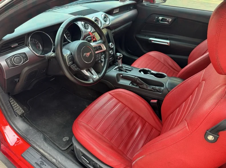 福特野马 后面外观三