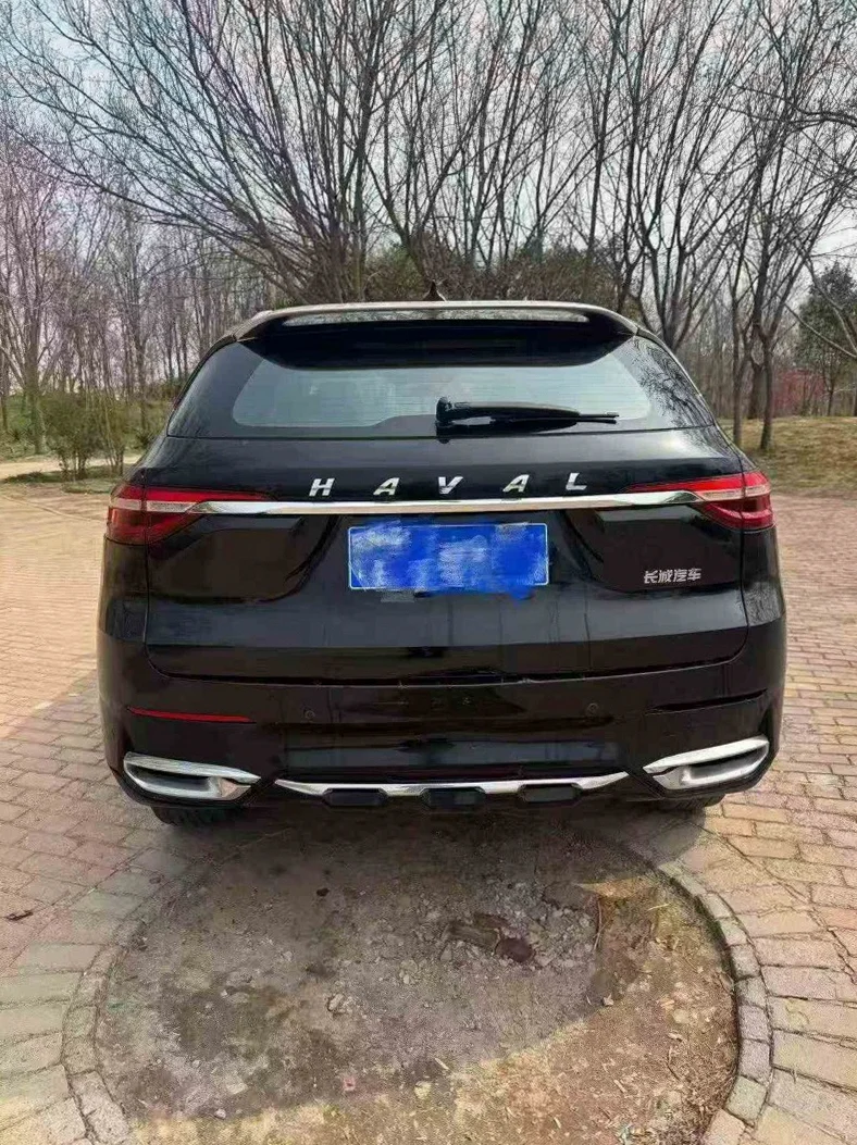 哈弗H7 内饰后排