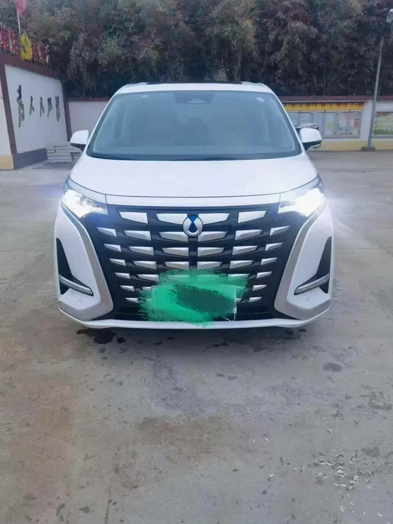 24年腾势D9 DM_i1040尊贵型