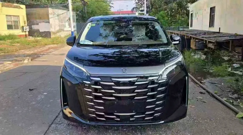 邢台2025年比亚迪夏大本车 正面外观一