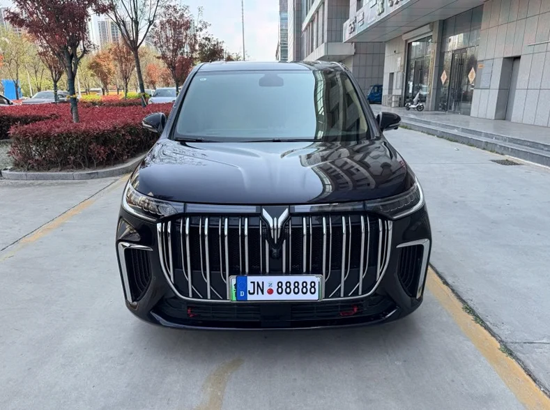 24年岚图梦想家