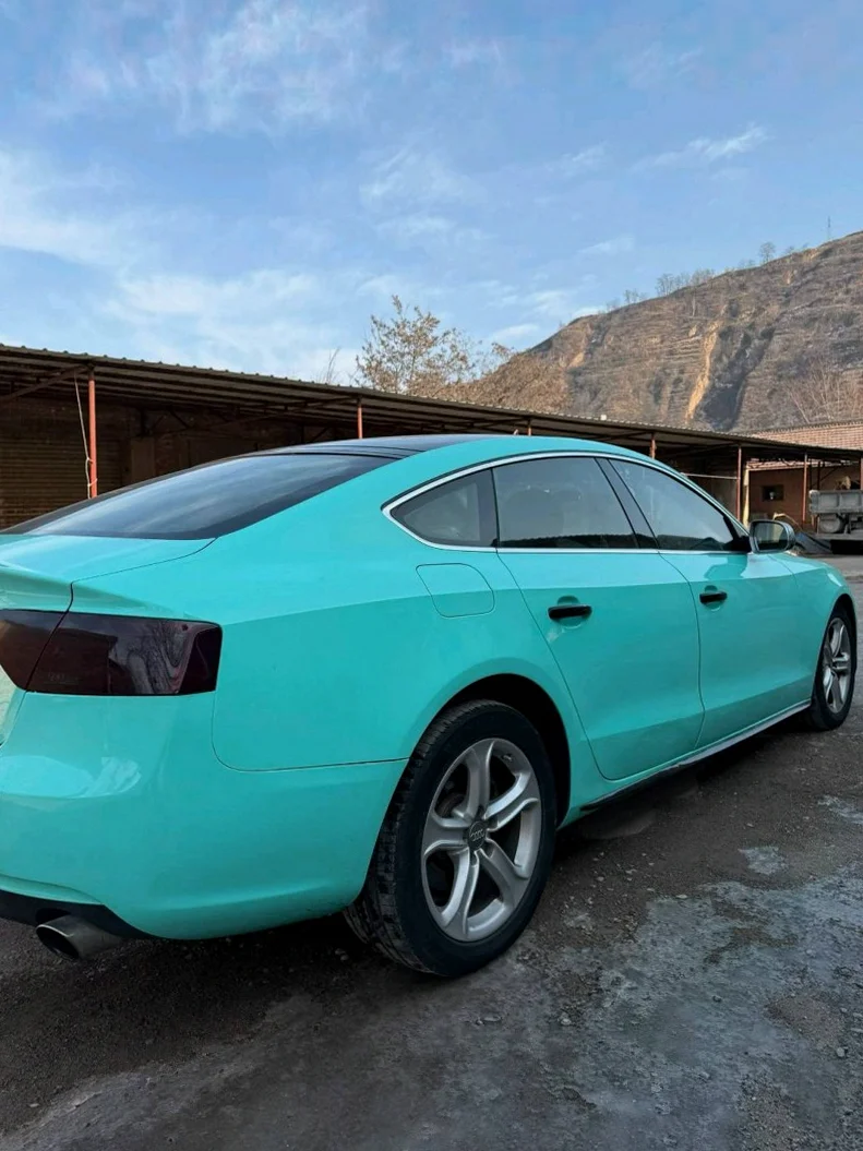 奥迪A5 内饰后排