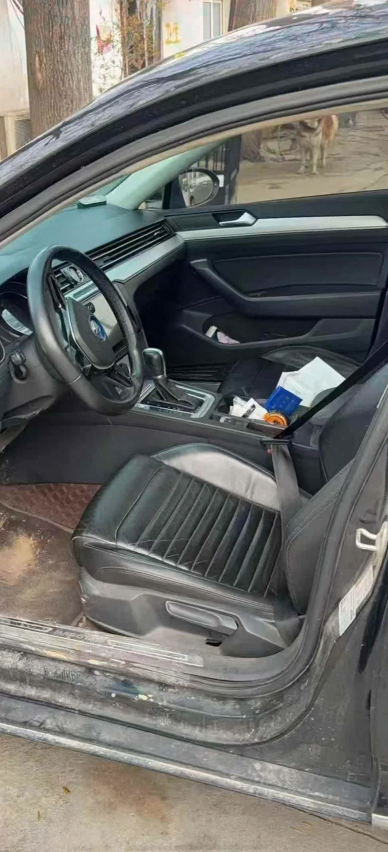 大众迈腾 后面外观二