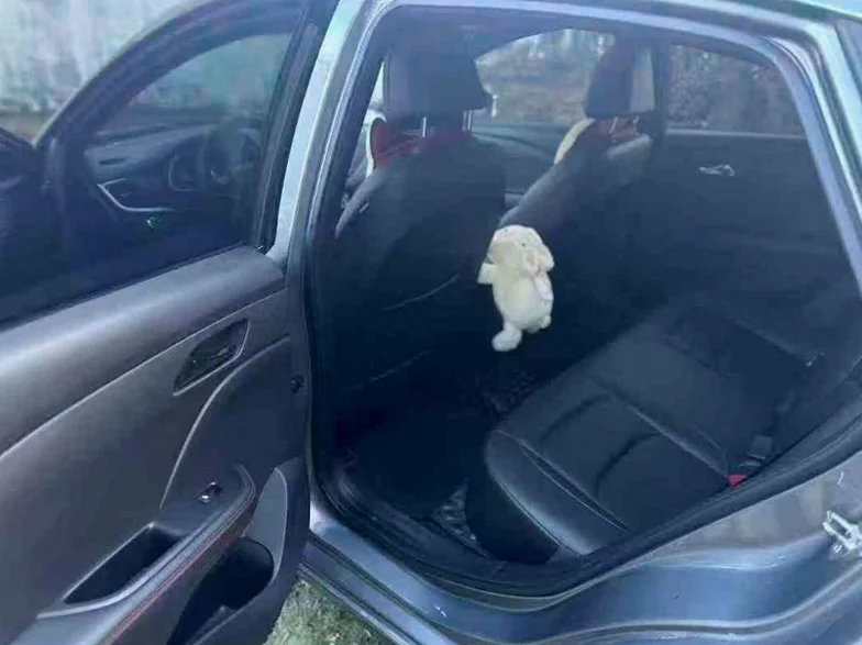 雪佛兰科鲁泽 后面外观一