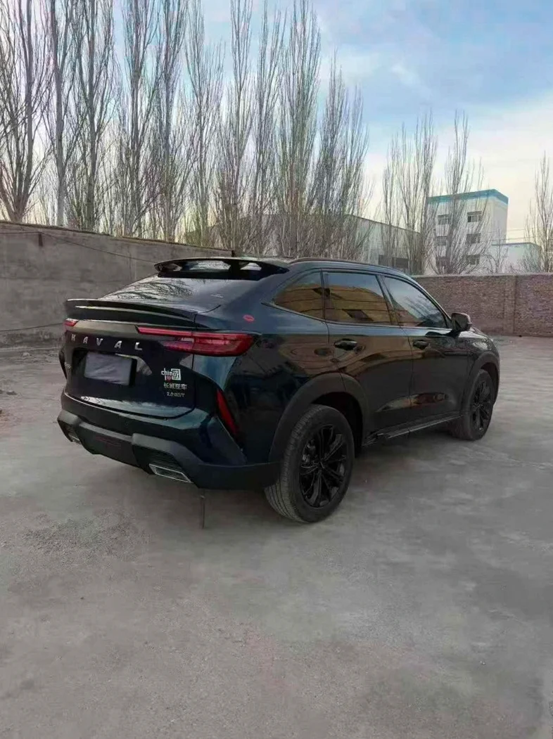 哈弗H6 内饰后排