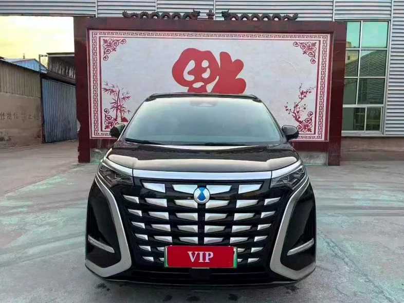 23年腾势D9插电式混动商务车