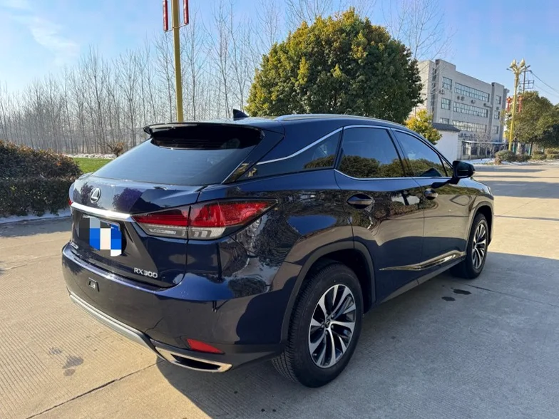 雷克萨斯RX 后面外观二