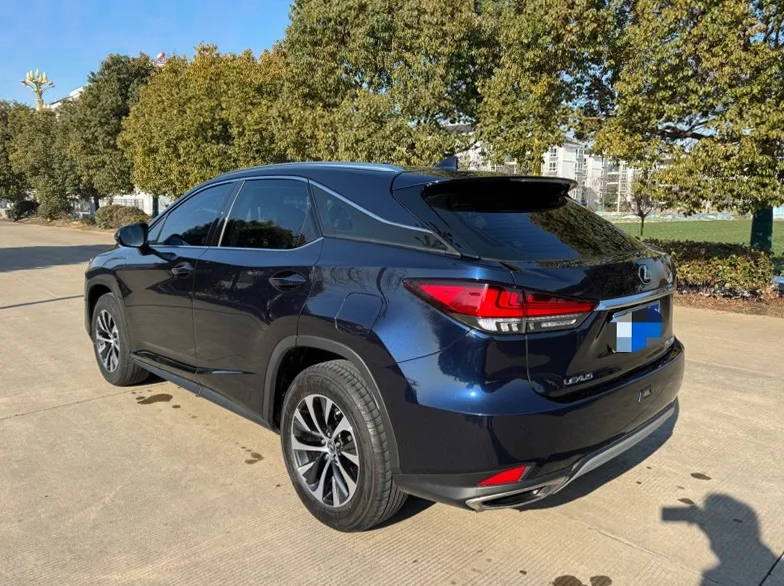 雷克萨斯RX 后面外观一