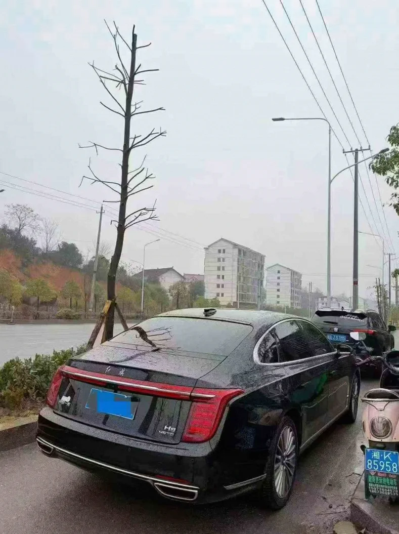 红旗H9 内饰后排