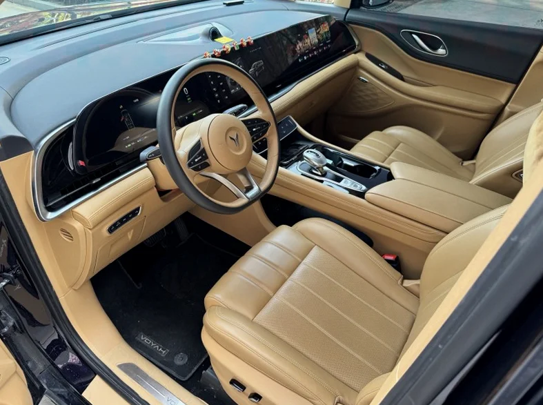 岚图汽车梦想家 后面外观三