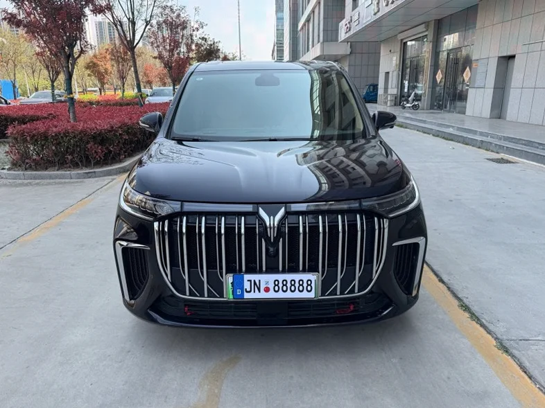 24年岚图汽车梦想家1.5T混动双电机四驱