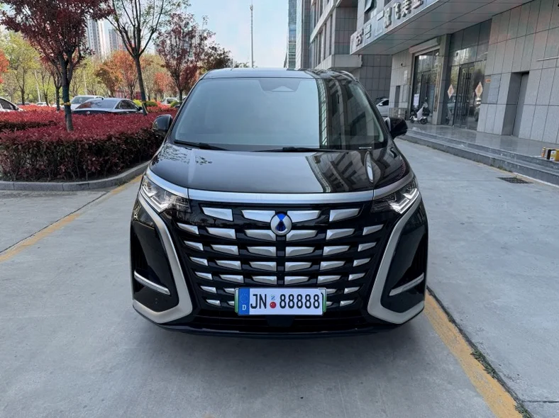 25年腾势D9 DM-i 1.5T尊享型