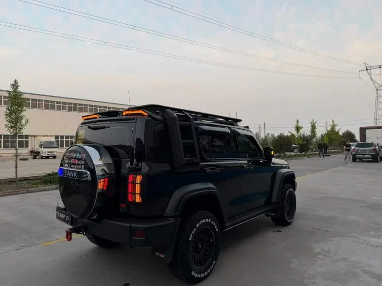 长城汽车坦克 内饰后排