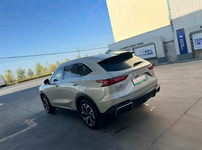 哈弗枭龙 内饰后排