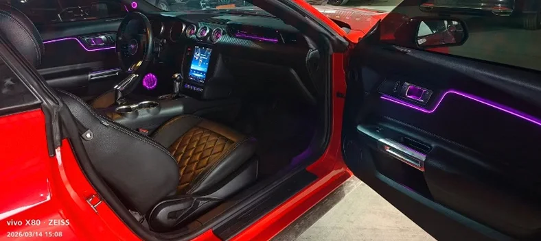 福特野马 后面外观二