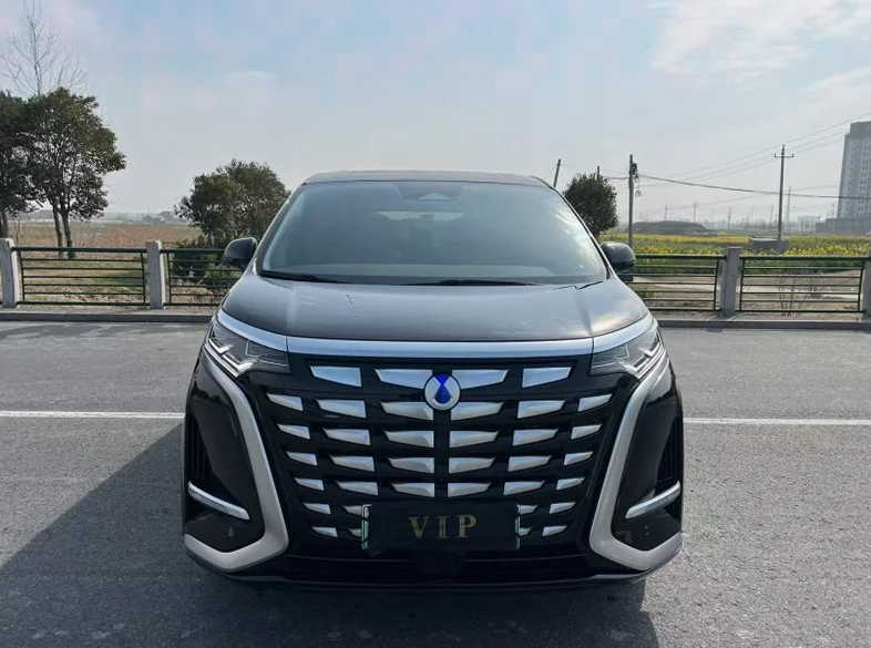 24年腾势D9 新能源插电混动尊享型