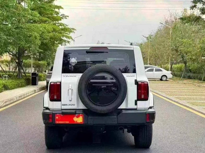 长城汽车坦克 内饰后排