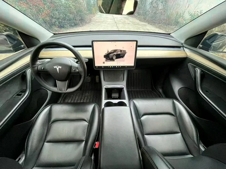 特斯拉MODEL 内饰后排