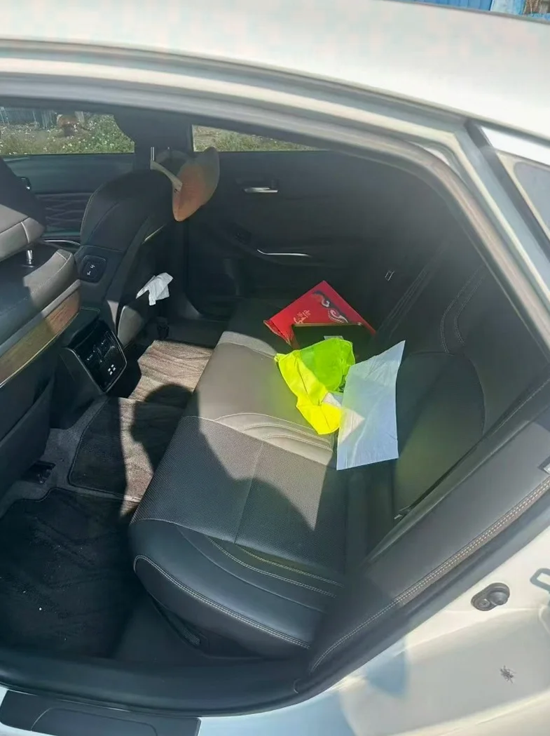 丰田亚洲龙 后面外观一