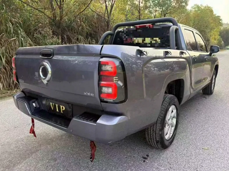 长城汽车炮 内饰后排