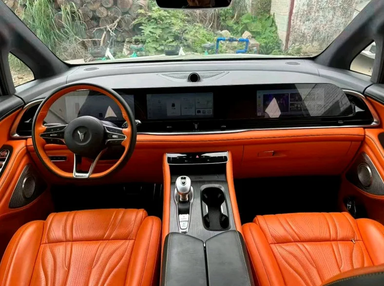 岚图汽车梦想家 后面外观二