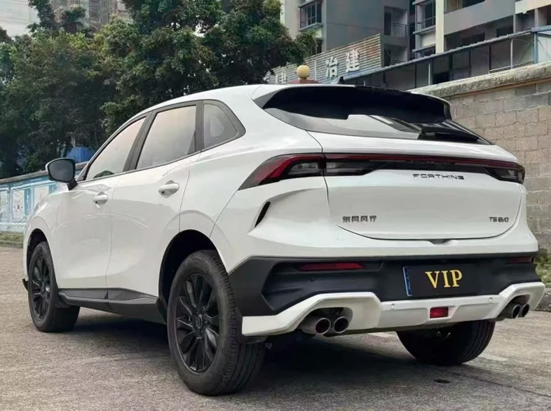 风行东风 内饰后排