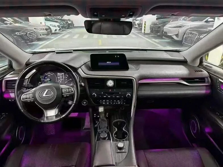 雷克萨斯RX 后面外观二