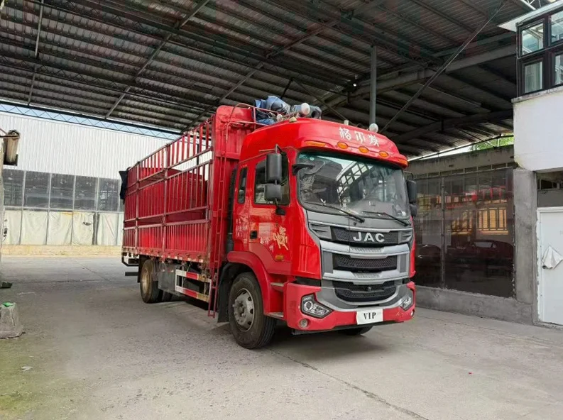 江淮戈尔法 正面外观三