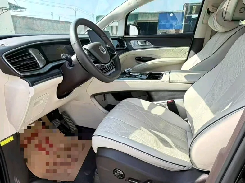 腾势D9 后面外观二