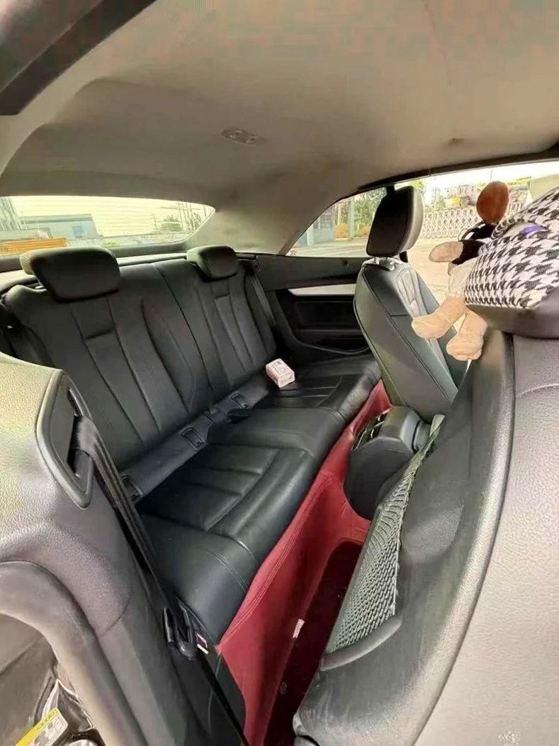 奥迪A5 后面外观三