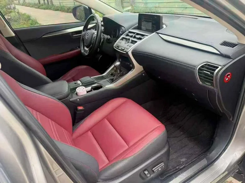 雷克萨斯NX 后面外观二