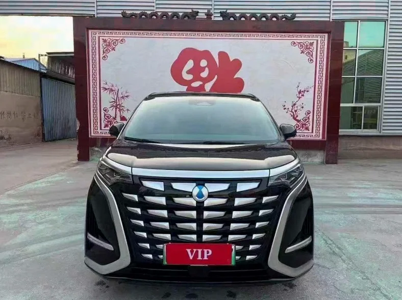 23年腾势D9插电式混动商务车