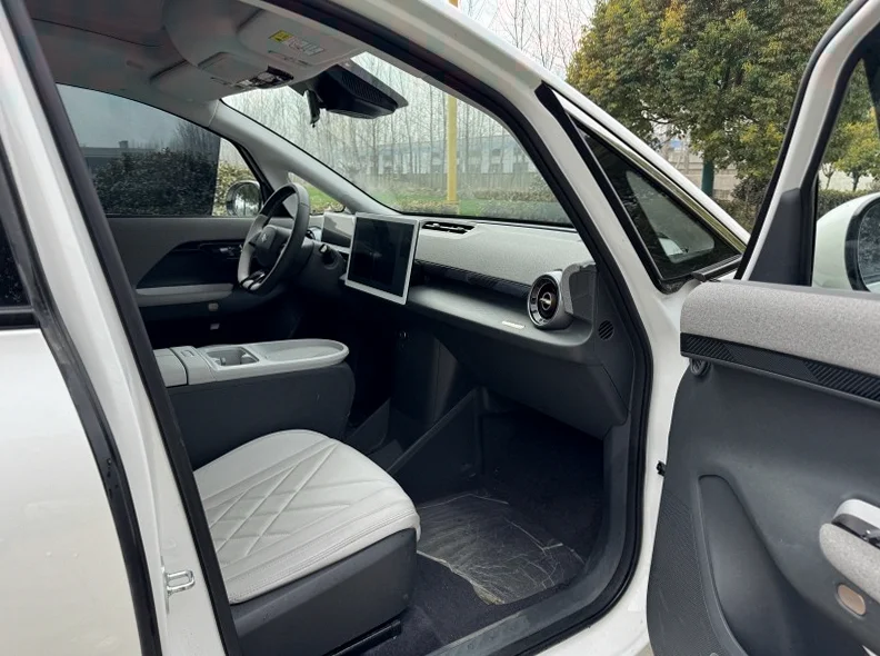 极狐汽车考拉 内饰后排