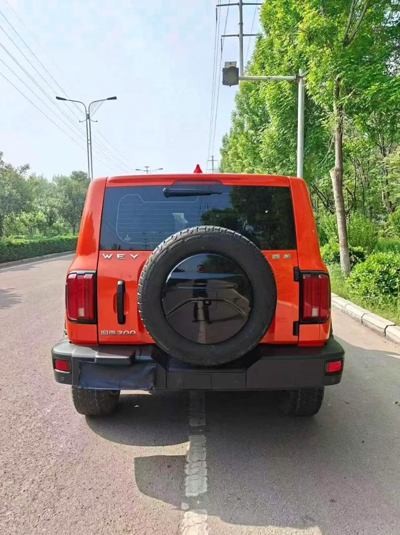 长城汽车坦克 内饰后排