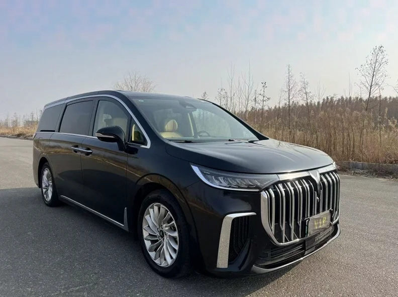 岚图汽车梦想家 正面外观二