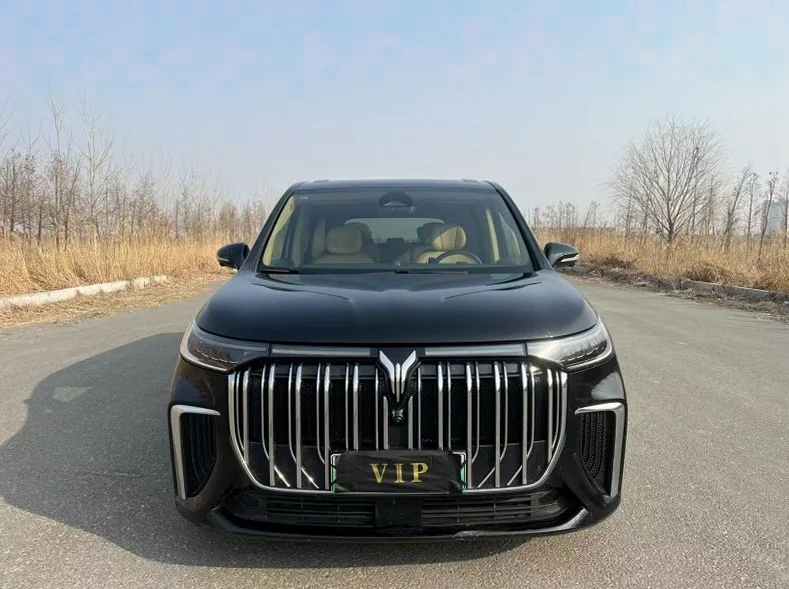 24年岚图汽车梦想家