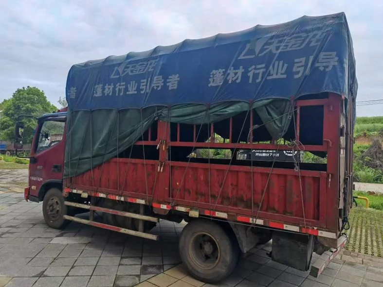 卡车系列重汽豪沃 内饰后排