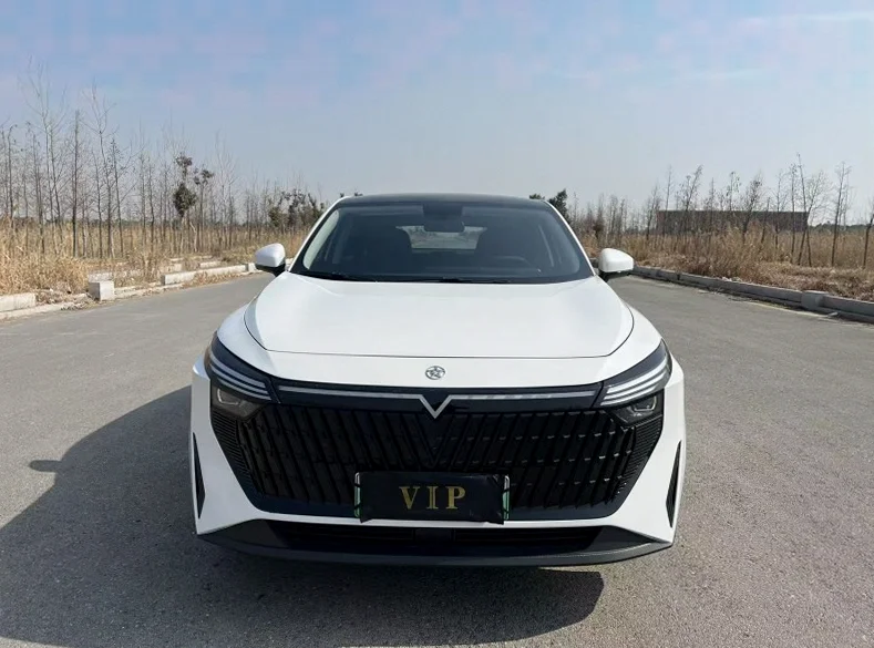 24年启辰大V DD-i超级混动110km Por版