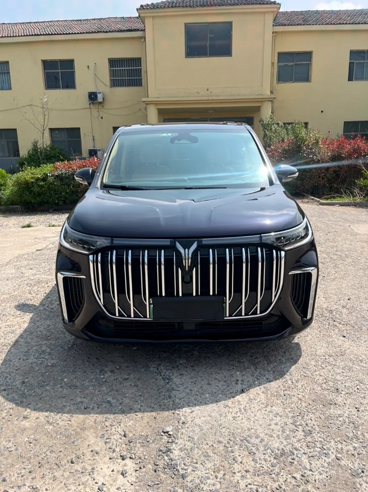 23年岚图梦想家双电机四驱