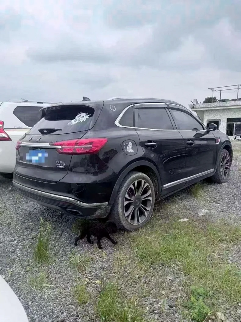 红旗HS5 后面外观三