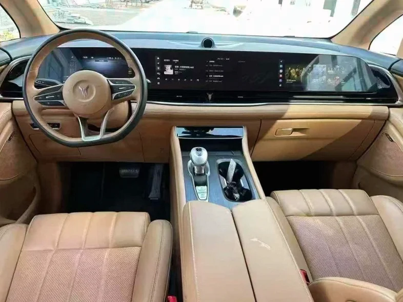 岚图汽车梦想家 后面外观二